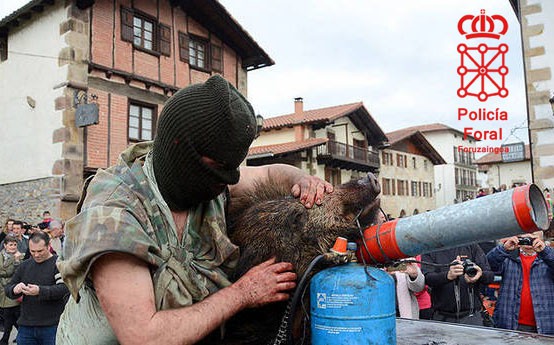 Zubieta eta Iturengo inauterietan hildako animaliak erabili izana ikertzen ari dira - 1