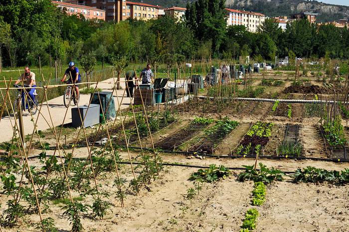 Arantzadiko bost aisialdirako baratzetarako eskabide epea zabalik