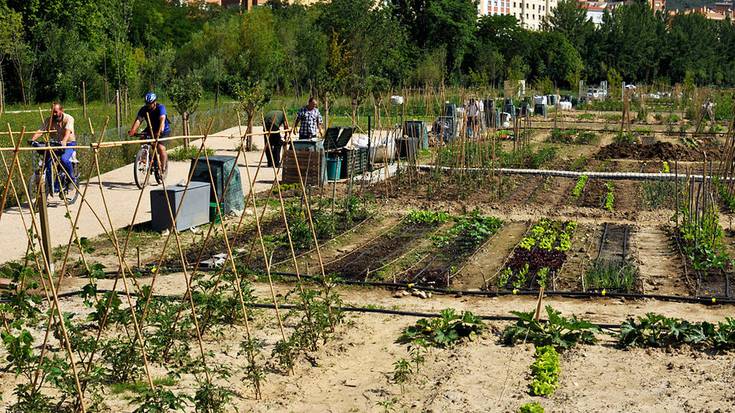 Arantzadiko bost aisialdirako baratzetarako eskabide epea zabalik