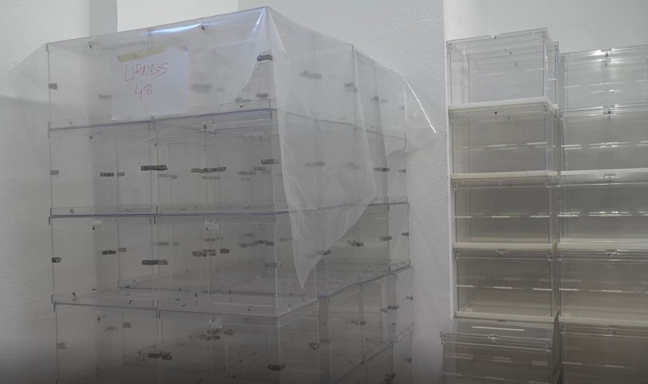 Udala hauteskundeetako hautestontziak prestatzen hasi da