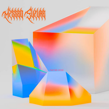 Misseo Future taldearen kontzertua