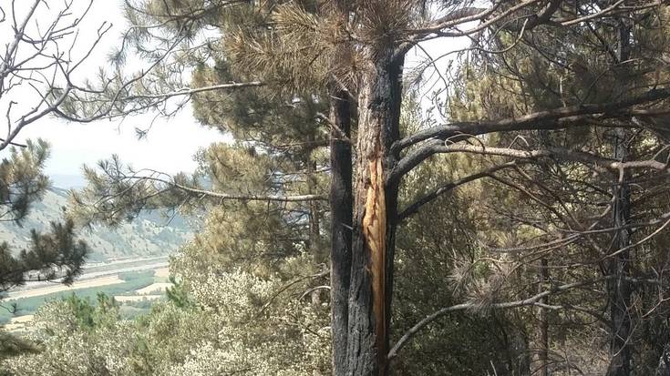 Tximista batek eragin du Leireko sutea