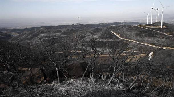Tafallan eta Puiun erretako soroen artean %80 berez birsortuko dira