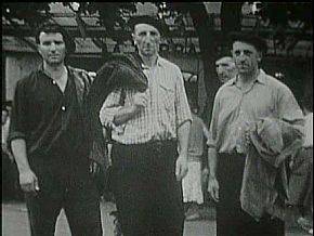 Iparraldeko artzainak, pantaila handian