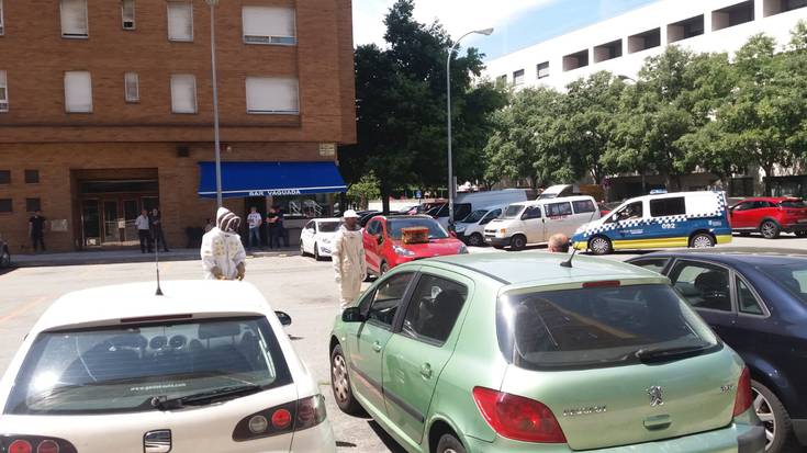 Auto batetik erlauntz bat kendu dute, Donibane auzoan