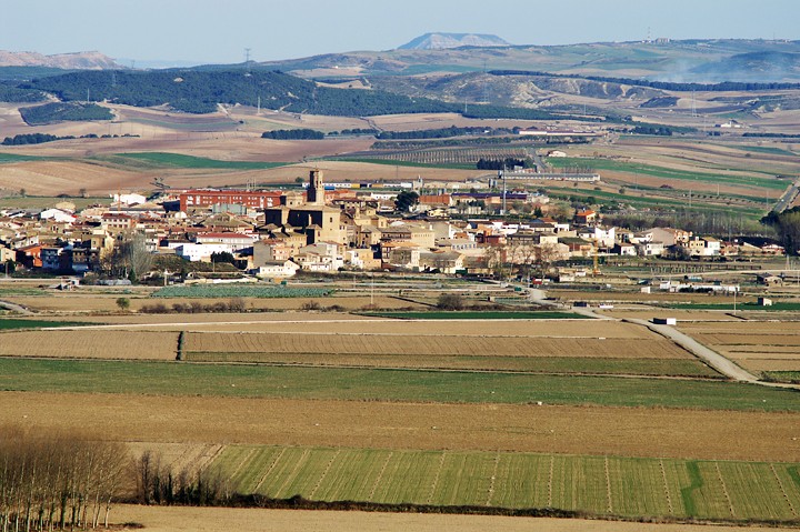 Valtierra, Cadreita, Castejon, Cintruenigo, Zarrakaztelu eta Alesbesen neurri murriztaileak hartuko dituzte