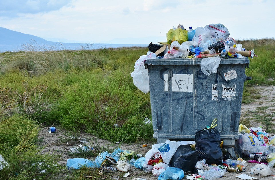 Nafarroako 10 gaztetik ia 8k murriztu dute plastikozko poltsen erabilera