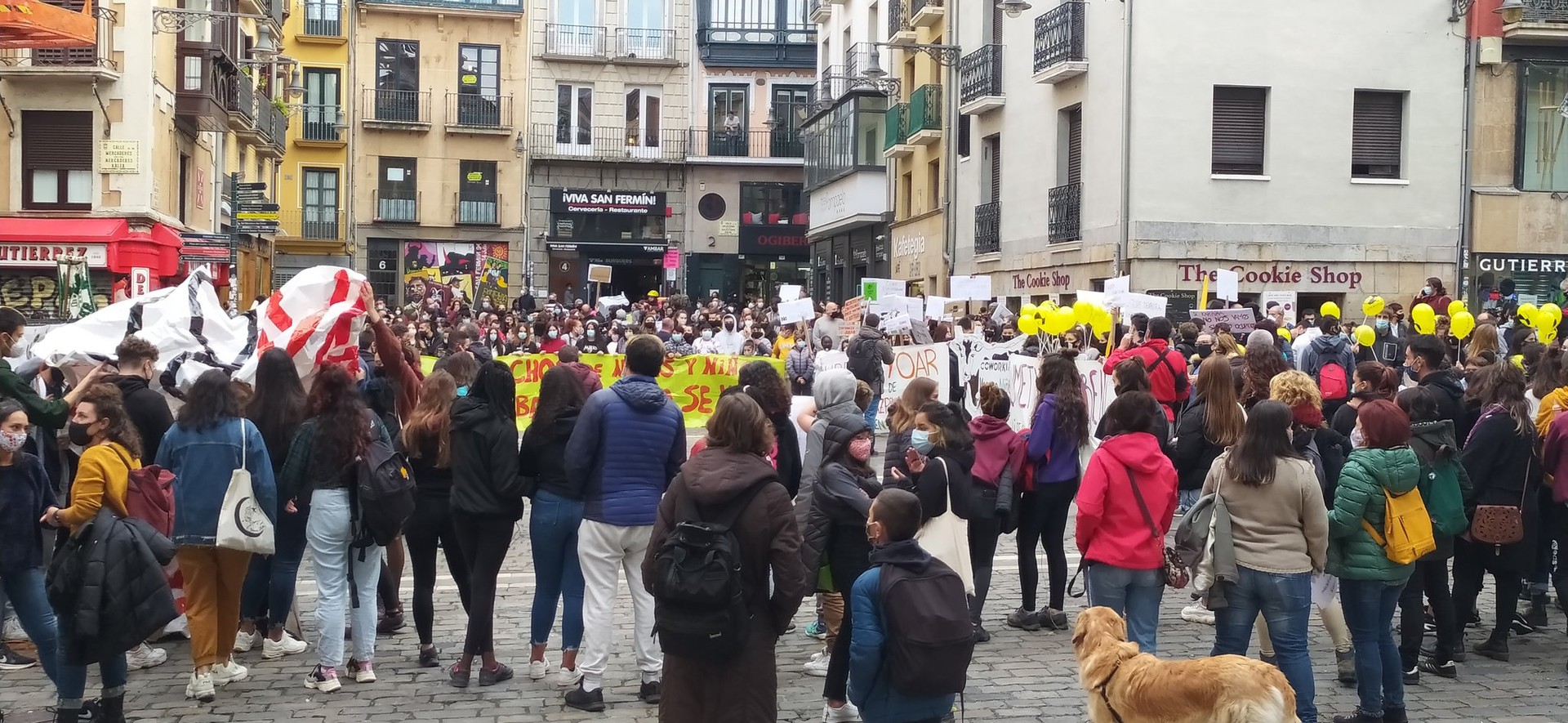 Prebentzio talde komunitarioak kenduko ditu Navarra Sumak, PSNren babesarekin