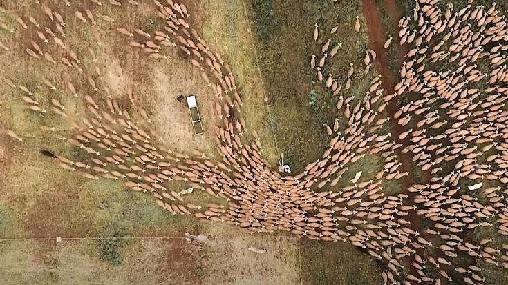 Ecozine jaialdia iritsi da aste honetan Golem Baionara