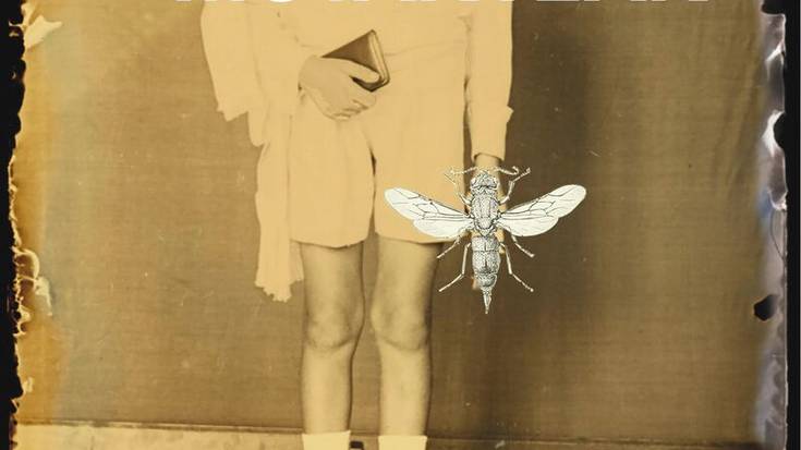 Literatur solasaldia: 'Liztor mutanteak'