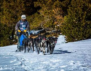 Harkaitz Aizpurua: "Buruhauste asko dakartza musghingak, baina merezi du"