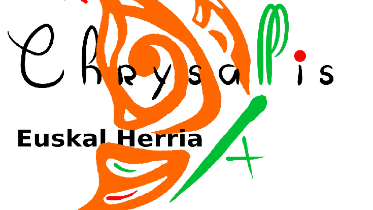 Chrysallis EHk transexualitatea patologia bat ez dela gogorarazten du Urritrans jardunaldietan