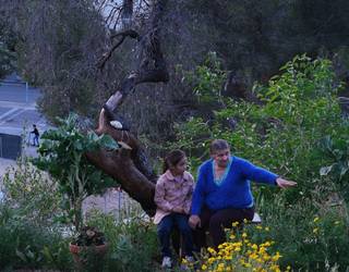 Bartzelonako aldirietako historia pusketak