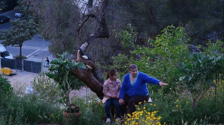 Bartzelonako aldirietako historia pusketak