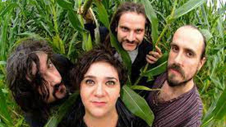 Zea Mays