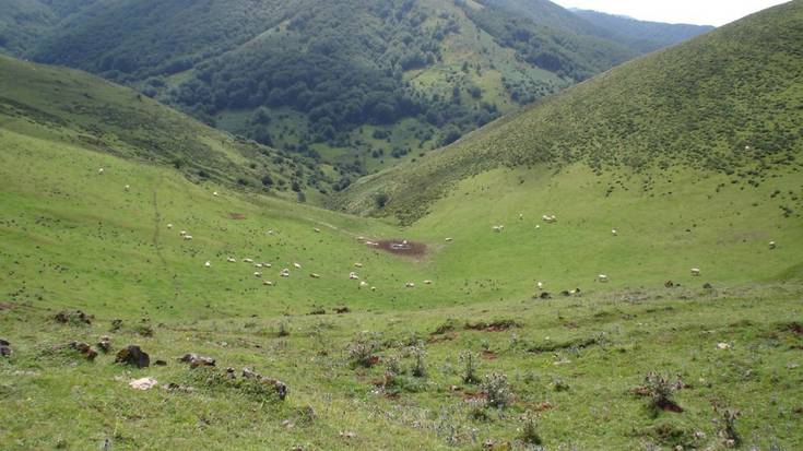 MAGNAk Erdizen egin nahi duen harrobia ingurumenerako oso kaltegarria dela salatu du Sustrai Erakuntzak