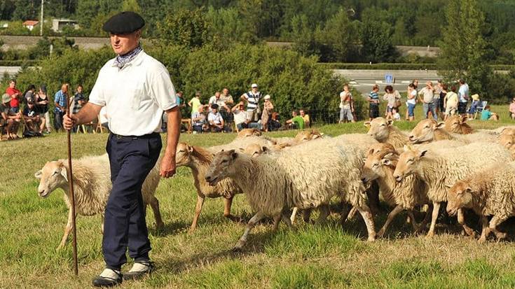 Gaizka Uharte  (Artzai eguna): “Artzaintzaren sektorea babesteko eta bultzatzeko eguna da”