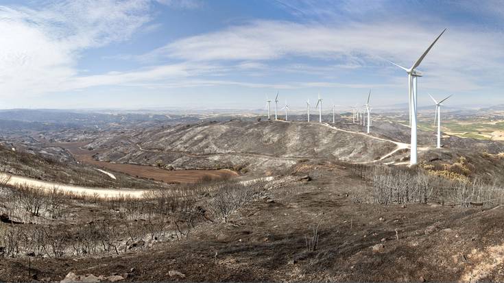 Baso-sute bat itzaltzeko kostua 10.000 euro ingurukoa izan daiteke hektareako