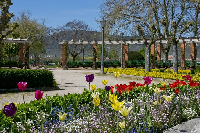 Udalak 53.173 euro inbertituko ditu aurten lorezko landareetan, hiriko parterretarako