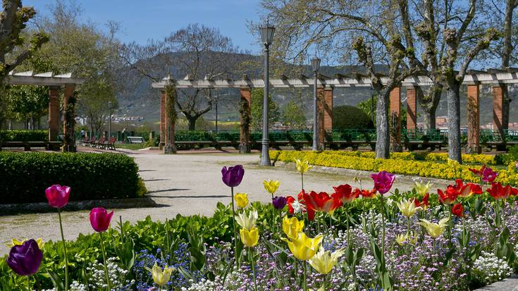 Udalak 53.173 euro inbertituko ditu aurten lorezko landareetan, hiriko parterretarako