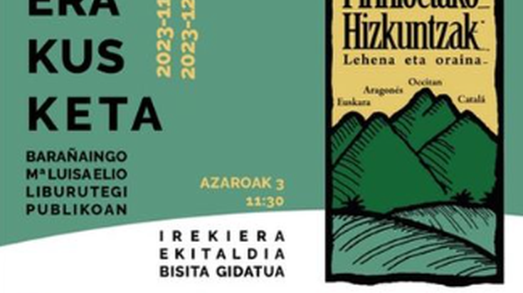 Pirinioetako hizkuntzak: lehena eta oraina