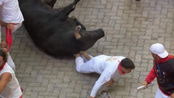 Adarkatu bat Jandillakoen entzierro bizian