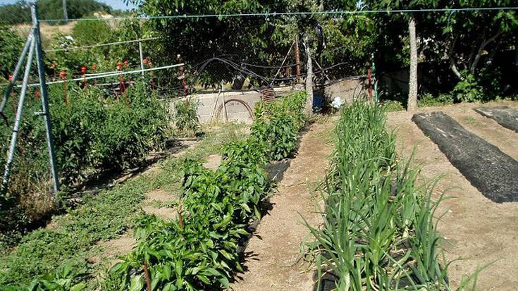 Alde Zaharreko bizilagunen baratzeak izanen du jariorik