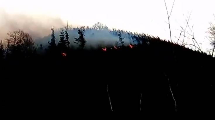 Ur-hegazkinaren laguntza eskatu dute suhiltzaileek Goizuetan piztu den sua itzaltzeko