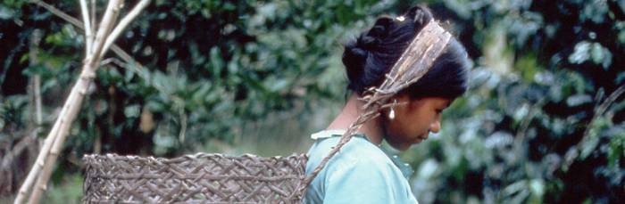 Kooperaziorako aurrekontuak %33 igo dituzte 2016an