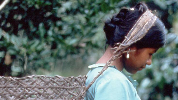 Kooperaziorako aurrekontuak %33 igo dituzte 2016an