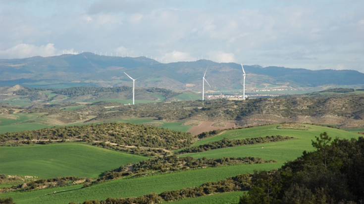 Ingurumen Saila arduratuko da Tafallako sutean kaltetutako gunea berreskuratzeaz