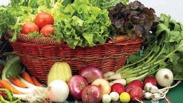 Alde Zaharrean kontsumo talde berri bat eratzeko deia Zaldiko Maldikotik