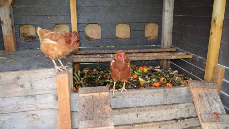 Noainek 30 familia behar ditu oilategi-konpost guneaz arduratzeko