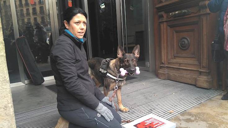 Genero indarkeriaren kontra txakur berezien erabilerarik ez du baimenduko Nafarroako Gobernuak