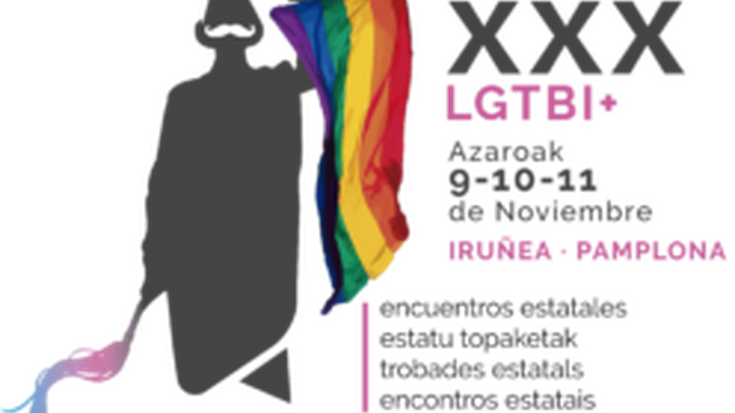 Estatuko LGTBI topaketak Iruñean