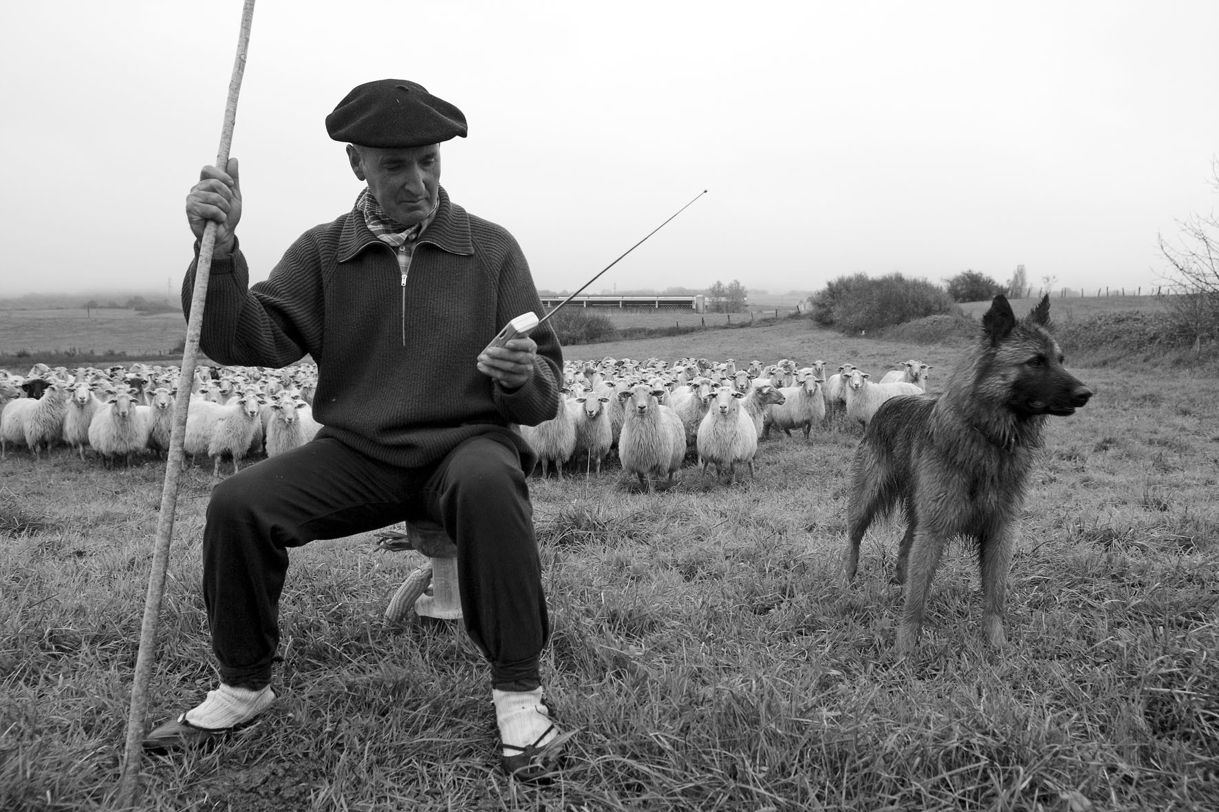 Julio Soto eta Maialen Lujanbiok ‘Artzaina’ erakusketaren aurkezpena eginen dute