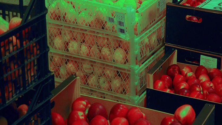 Elikagaien Bankuak ematen die jatekoa 8.000 familiari