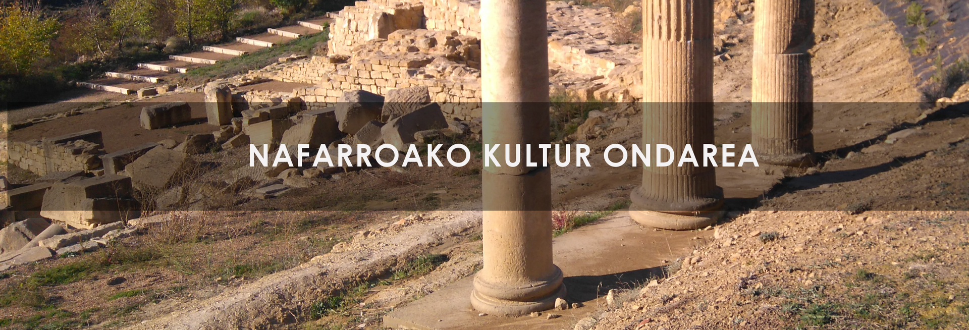 Nafarroako Foru Komunitatearen armarri historikoak online kontsulta daitezke