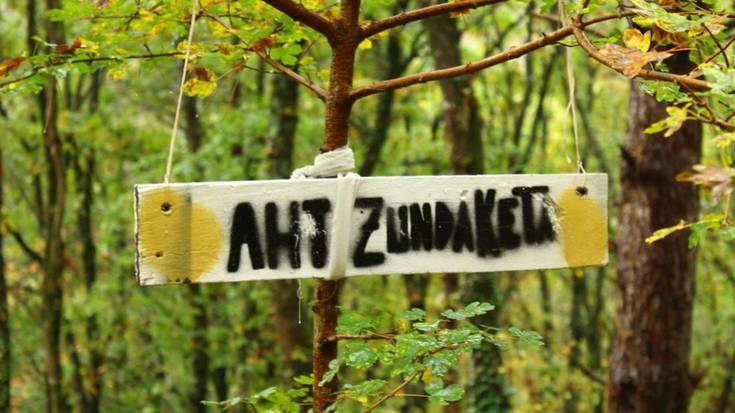 Julio Villanueva (Stop Zundaketak): "Hirugarren alternatibatzat aurkeztu dutenak ere kalte ekologiko ikaragarria sortzea dakar"