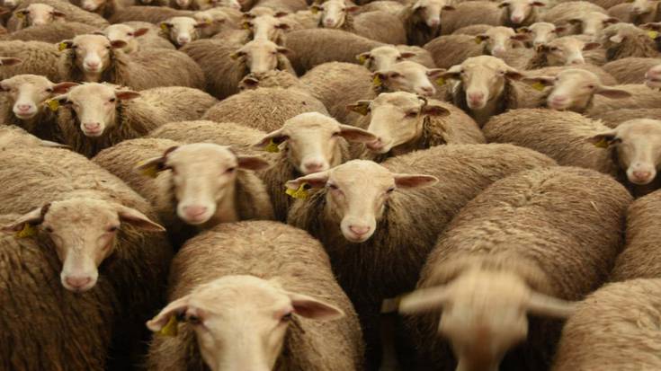 Artalde batek zeharkatuko du Atarrabia asteazken honetan