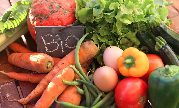 Bidezko merkataritzako erakundeek bizitza eta ingurumena ardatz dituen ekonomia eredu bat eskatu dute