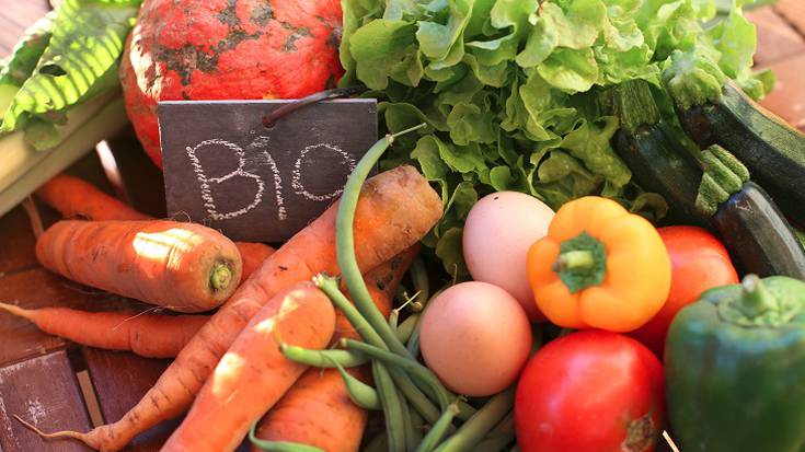 Bidezko merkataritzako erakundeek bizitza eta ingurumena ardatz dituen ekonomia eredu bat eskatu dute