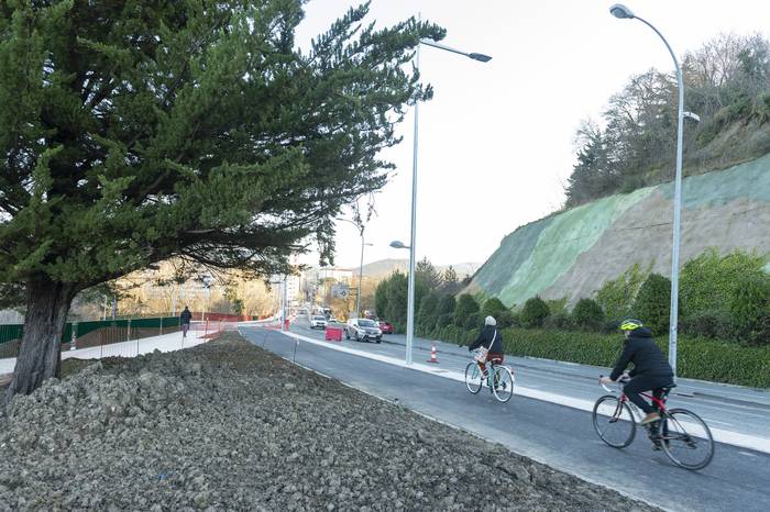 Belosoko zuhaitz-bideko 112 zuhaitzak hilabete barru egonen dira landatuta