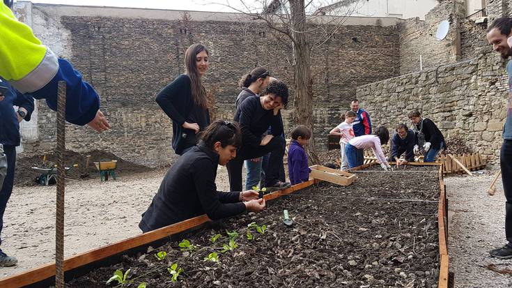 Txantrean, Arrotxapean, Sanduzelai eta Mendabalean hiri-baratzeak egonen dira 2018an
