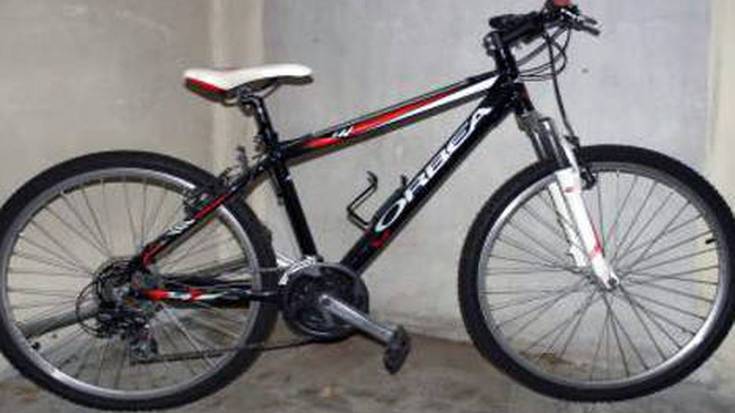 Lapurtutako bizikleten argazkiak erakusten ditu Foruzaingoak bere webgunean