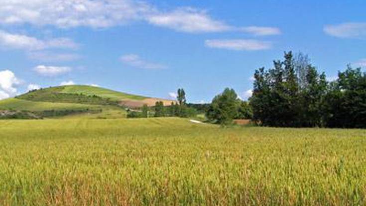 Lizoain Arriasgoitin barna