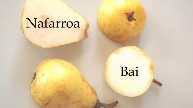 Zatiketa hotsak, NaBai 2011 koalizioan