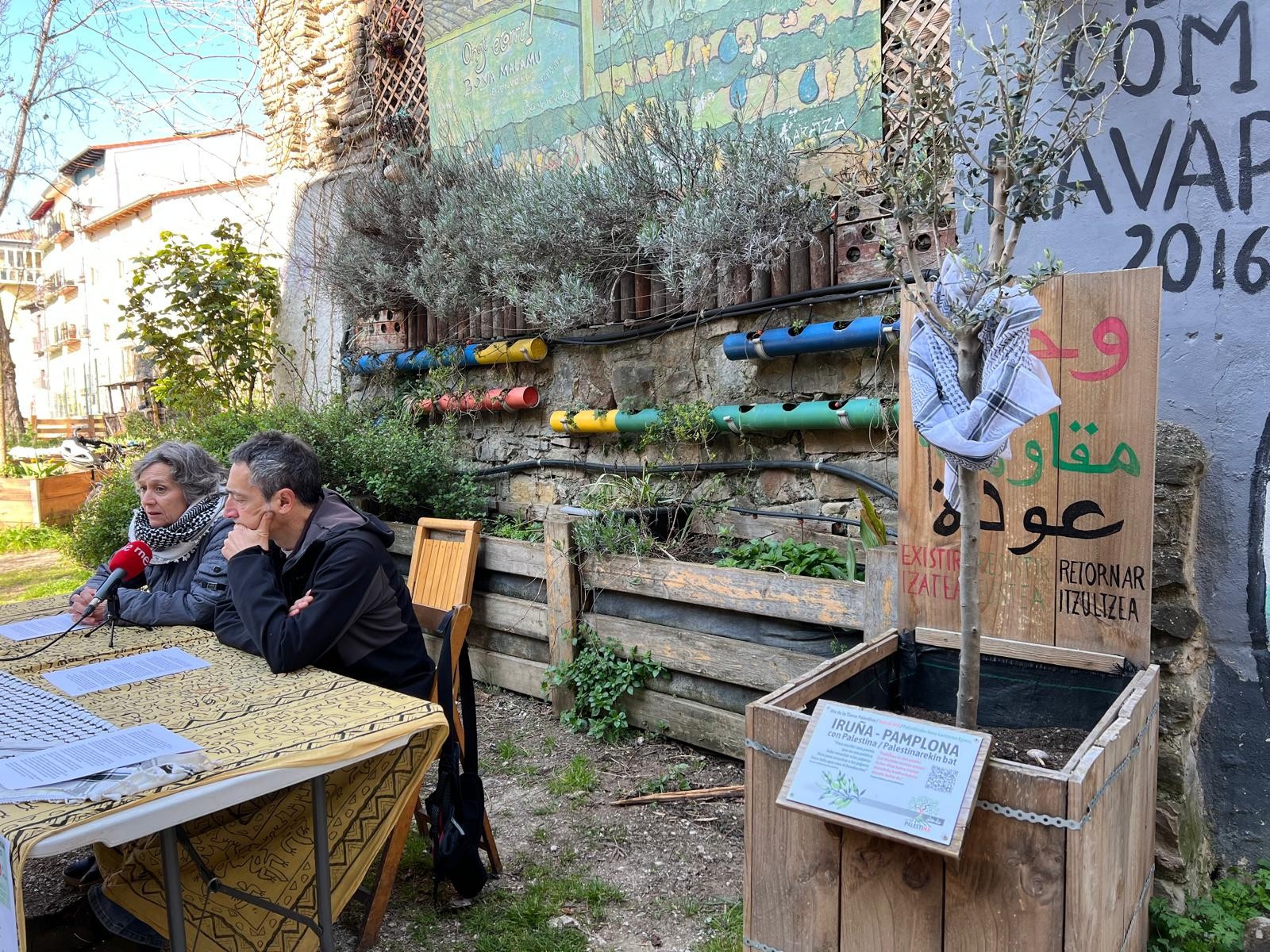 Palestinako Lurraren Egunean, olibondoak sinbolo gisa