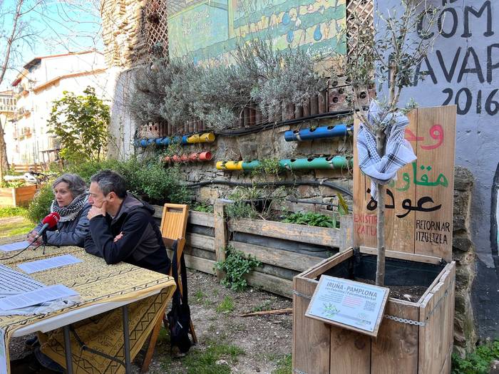 Palestinako Lurraren Egunean, olibondoak sinbolo gisa