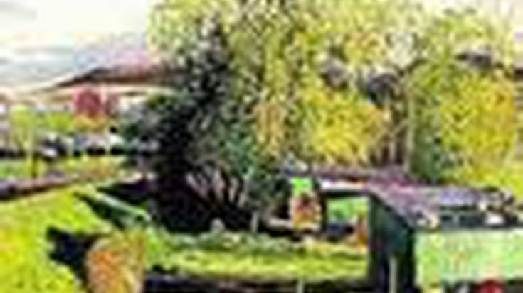 Bidasoako margolariak